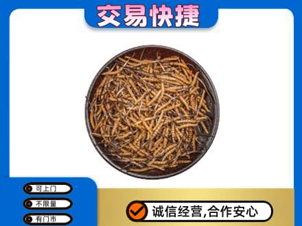 西安灞桥区回收散虫草